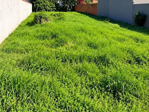 Terreno en Venta de 508,0 m2