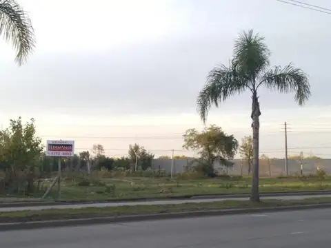 Venta de terreno de 2 hectáreas en Benavídez para escriturar
