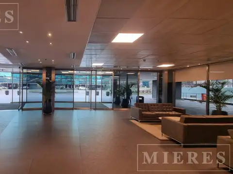 Excelentes oficinas en alquiler de 1.500 m2 - Lumina Thames  - San isidro