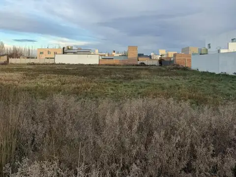 Terreno en Venta de 5950,0 m2