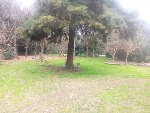 Embrujo 500