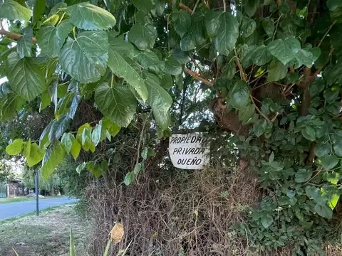 Pueyrredón 3300