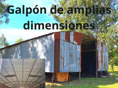 100 has zona FORESTA Y CITRÍCOLA