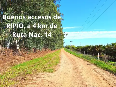 Colonia La Argentina