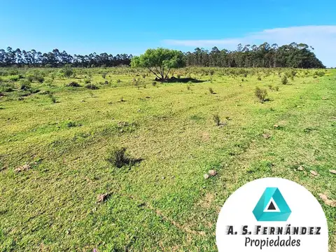 Colonia La Argentina