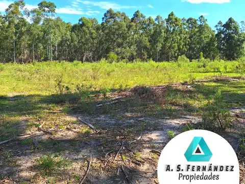 Colonia La Argentina