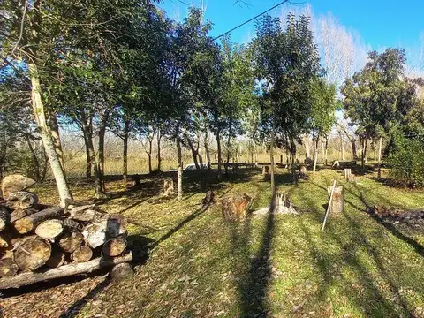 Casa  en Venta en Felicaria, Zona Delta, San Fernando