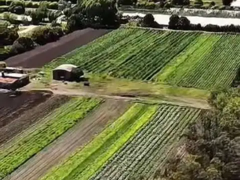 Quinta en Venta al Sureste