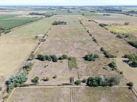 CAMPO EN VENTA Capilla del Señor 12,89 Hectáreas