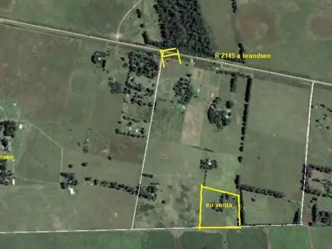 Campo - Venta - Argentina, LOMA VERDE - CAMINO RURAL SN