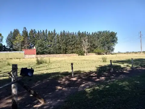 Campo - Venta - Argentina, LOMA VERDE - CAMINO RURAL SN
