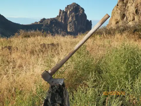 Campo en Venta de 4.600  ha