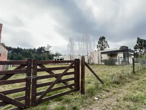 Barrio El Bosque