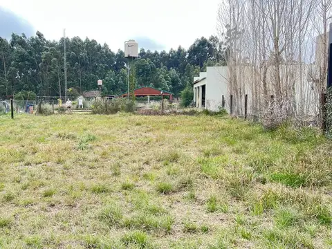 Barrio El Bosque