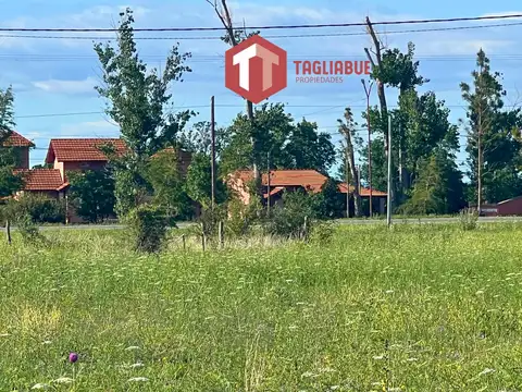 Terreno en Venta 41  mts Fondo