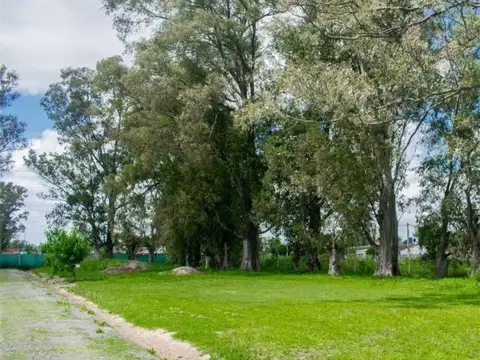 Terreno en Venta 27,75  mts Fondo