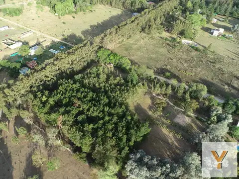 506 y 216 - Las Casuarinas