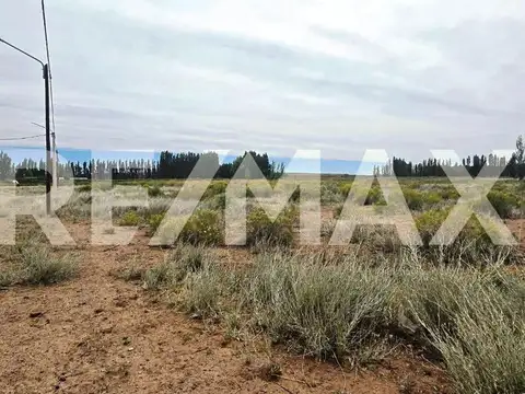 VENTA LOTE DE 2.500 M2 EN SENILLOSA