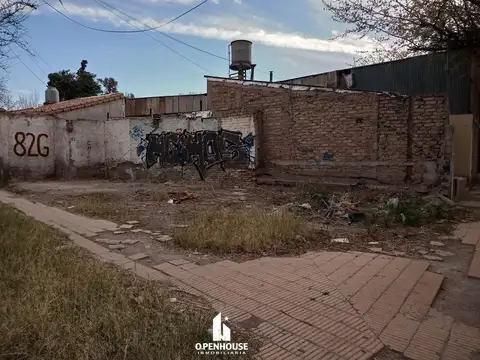 DR. MORENO Y PATRICIAS MENDOCINAS