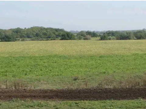 133 HAS AGROGANADERAS