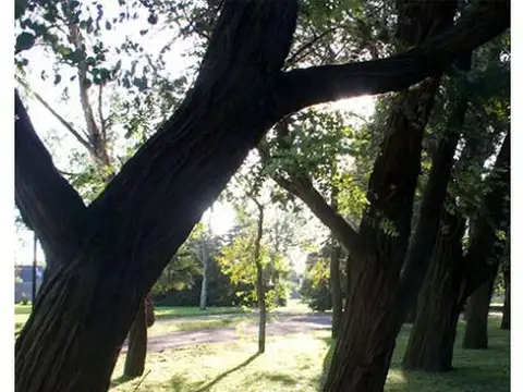 Bv. Urquiza 1900