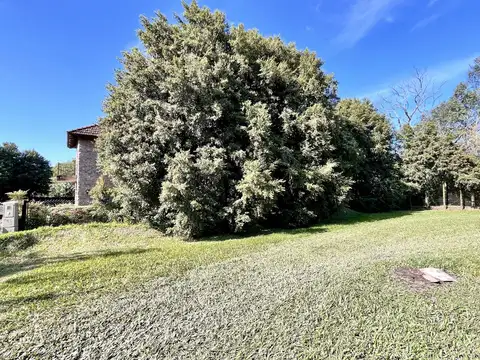Terreno en Venta de 1200,0 m2