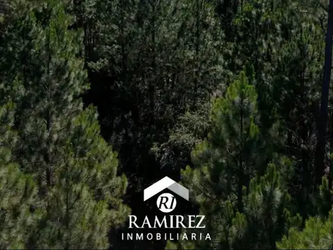 FRACCION de CAMPO en "INTIYACO"