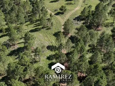 FRACCION de CAMPO en "INTIYACO"