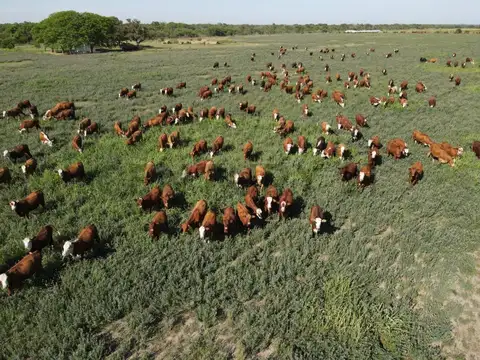 Campo en venta en Marcelino Escalada