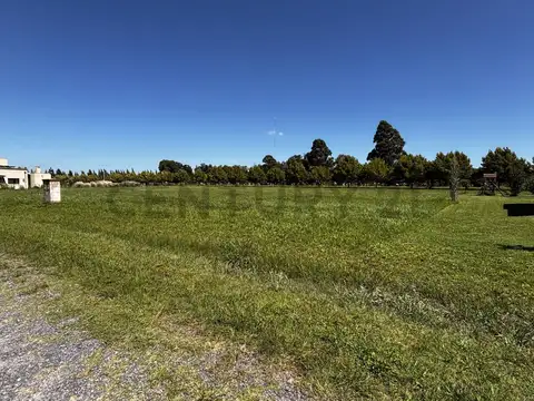 Avenida Pereda , Piso 0