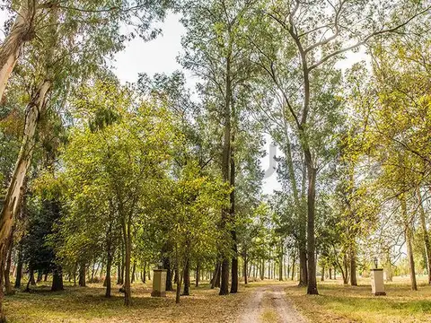 Terreno en Venta en Estancia Villa Maria, USD 25.000