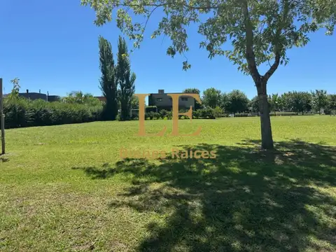 Terreno en Venta de 748,0 m2