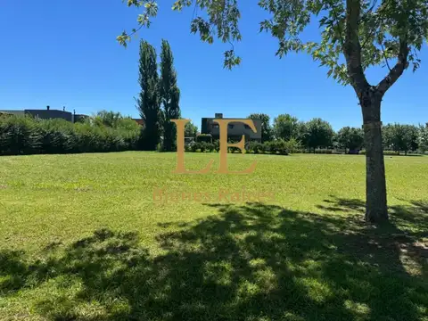 El Cazal 100