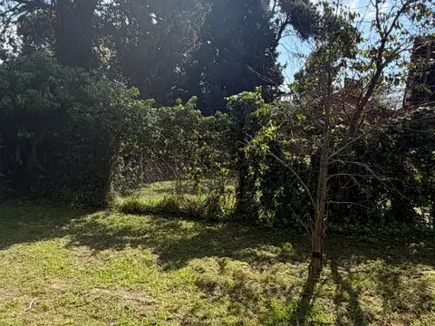 Terreno en Venta de 320,0 m2