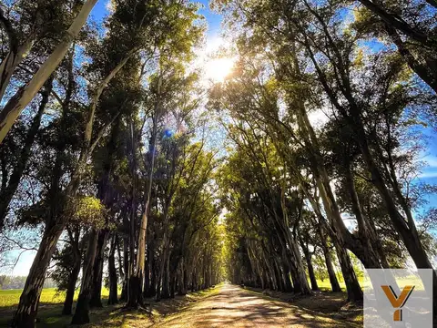 Terreno en Venta de 3587,0 m2