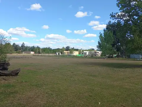 Terreno en Alquiler en Abasto, $ 350.000