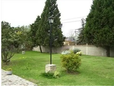 Lima 464