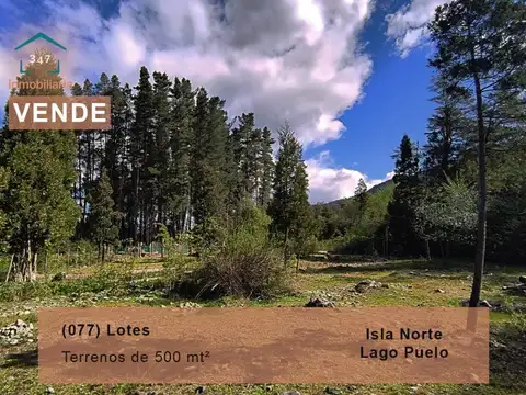 (077) Lotes en PRE VENTA en Lago Puelo Isla Norte 500 mt²