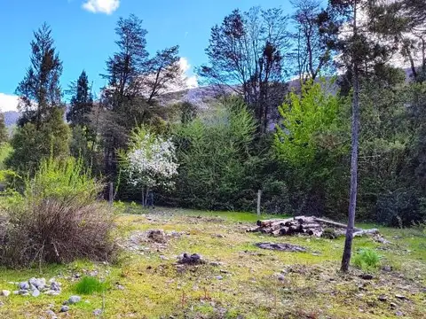 (077) Lotes en PRE VENTA en Lago Puelo Isla Norte 500 mt²