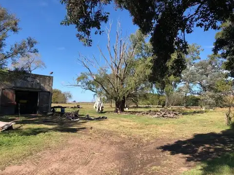 Camino del Chorizo 100