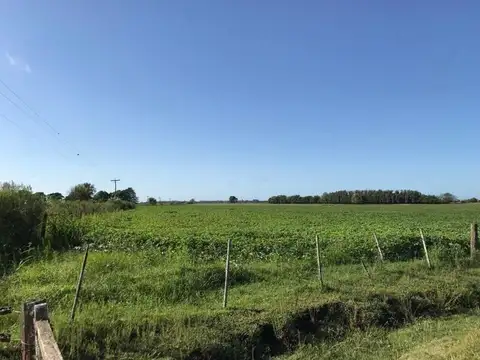 San Antonio de Areco - 74.60 has | Campo | Camino del Chorizo