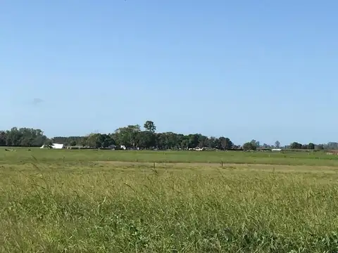 San Antonio de Areco - 74.60 has | Campo | Camino del Chorizo