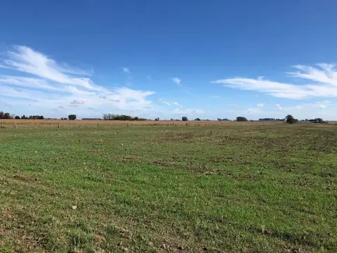 Camino del Chorizo 100