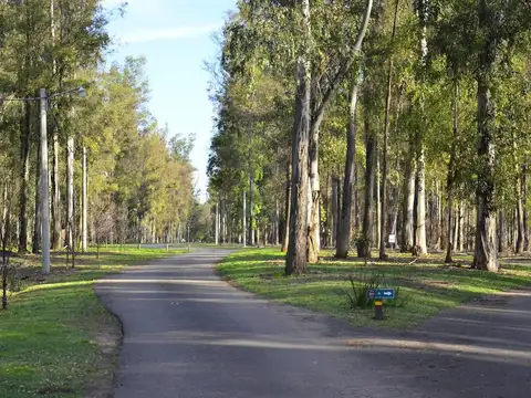 LOTES en Campo Timbo BARRIO CERRADO