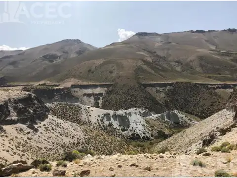 Ruta 40- Malargue-  Mendoza