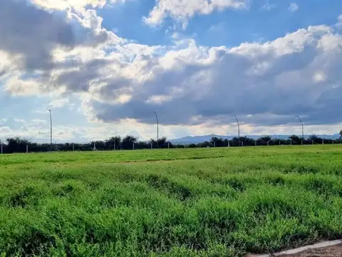Cuestas De Manantiales