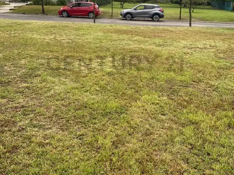Terreno en Venta de 1000,0 m2