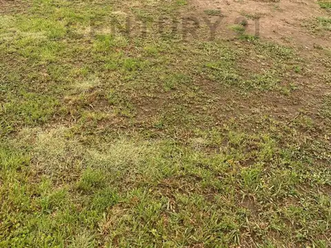 Manantiales Country terreno 1000mts2