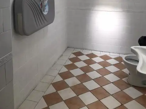 PEDRO GOYENA 100