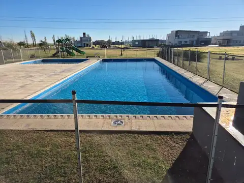 Polo Argentino